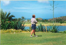 Alan golfing